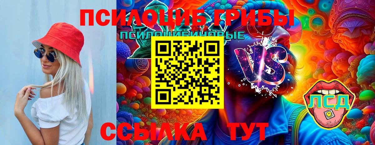 Псилоцибиновые грибы мицелий  Псилоцибиновые грибы Psilocybine cubensis  Вход с VPN  Чехов 